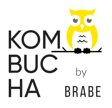 BRABE Kombucha